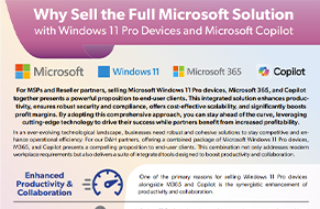 Copilt-Microsoft flyer